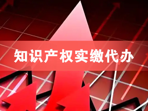 荆州知识产权实缴资本代办